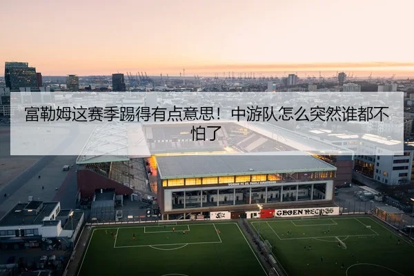 富勒姆这赛季踢得有点意思！中游队怎么突然谁都不怕了