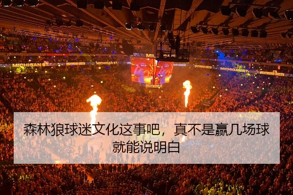 sen-lin-lang-qiu-mi-wen-hua-zhe-shi-ba-zhen-bu-shi-ying-ji-chang-qiu-jiu-neng-shuo-ming-bai-2-314.jpg