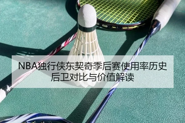 NBA独行侠东契奇季后赛使用率历史后卫对比与价值解读