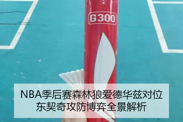 NBA季后赛森林狼爱德华兹对位东契奇攻防博弈全景解析