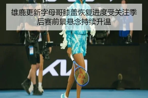 雄鹿更新字母哥膝盖恢复进度受关注季后赛前景悬念持续升温