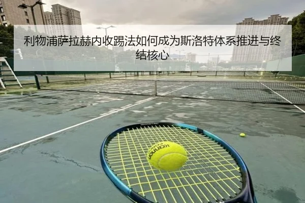li-wu-pu-sa-la-he-nei-shou-ti-fa-ru-he-cheng-wei-si-luo-te-ti-xi-tui-jin-yu-zhong-jie-he-xin-2-632.jpg