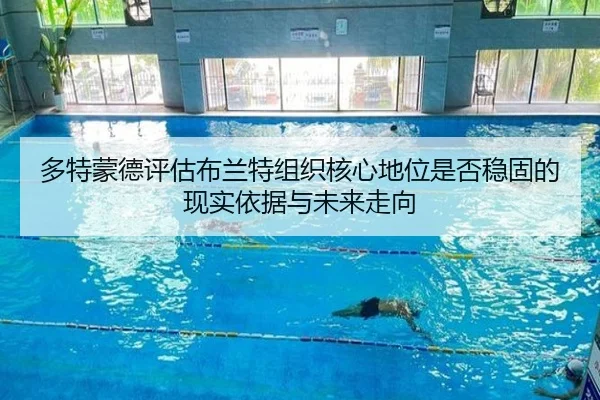 多特蒙德评估布兰特组织核心地位是否稳固的现实依据与未来走向